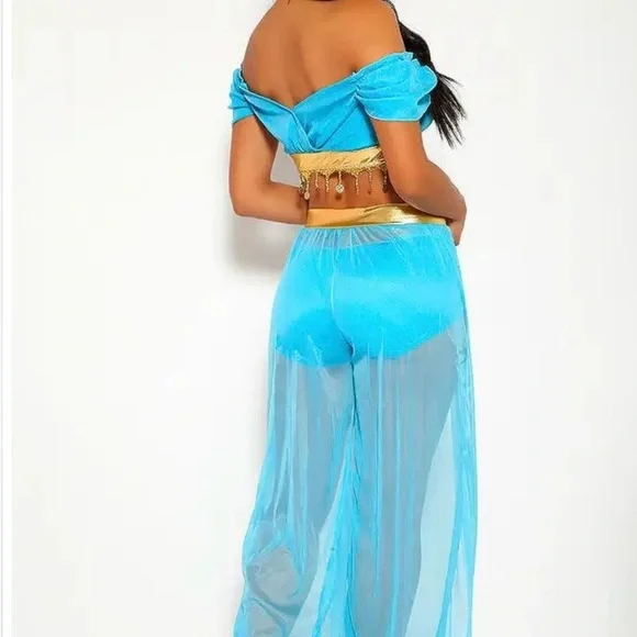 Princess Jasmine Costume - Picture 4 of 4